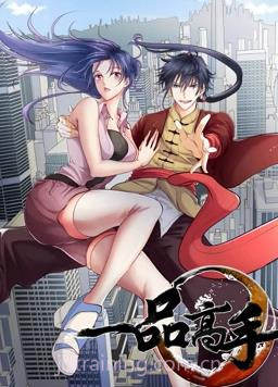一品高手